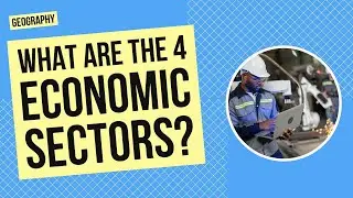 What are the Four Main Economic Sectors? | Geography Activity