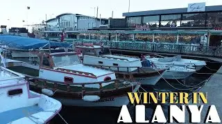 WINTER IN ALANYA 2025 FEBRUARY ! ALANYA ANTALYA TURKEY WALKING  ! TURKEY HOLIDAY TURKEY TRAVEL 4K