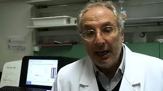 WG MELANOMA | Almeno 30k mutazioni, ma non è uno svantaggio