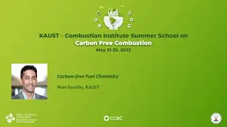Mani Sarathy: Carbon-free fuel chemistry