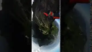 Zhangjiajie Pan Asia Hash 2019