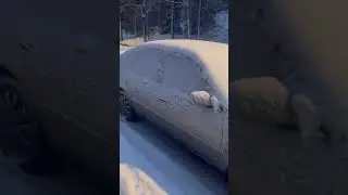 How does the car look during winter in cold countries? #winter #stockholm #sweden #snowfall