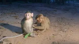 Let Me Taking Care Of You Koca & Bijoy