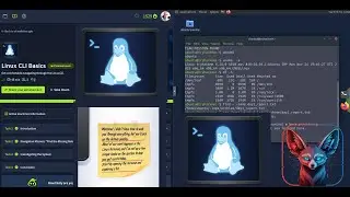 TryHackMe Linux CLI Basics | Full Walkthrough 2026