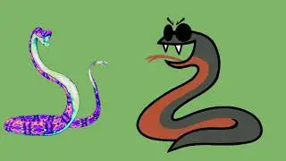 Snake green screen video|snake green screen|