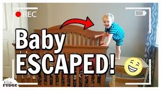 Baby Escapes Crib | Cute Baby Growing UP 😱