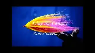 Tying the Canary with Brian Sweeney