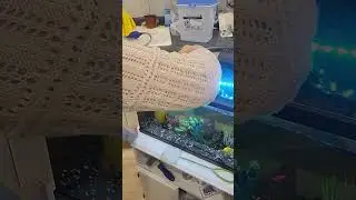 Tutorial- cleaning 10G fish tank Part 1 of 2