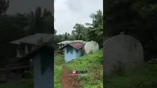 my tirur
