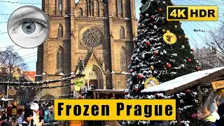 Snowy Prague Christmas Walking tour: Vinohrady, Wenceslas Square 🇨🇿 Czech Republic 4K HDR ASMR