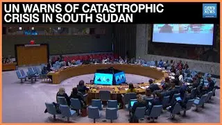 UN Security Council Warns of &lsquo;Catastrophic&rsquo; Crisis in South Sudan as Violence and Hunger Escalate
