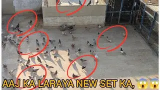 AAJ KA LARAYA NEW SET KA🕊️🕊️🕊️😱😱