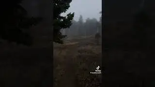 K&ouml;nnen Sie die Videoinhalte meines Kanals abonnieren?