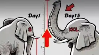 BEST KEGEL //PELVIC FLOOR EXERCISE FOR MASSIVE BED IMPROVEMENT 🍑💦FOR MEN/WOMEN