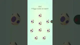 I Hatched 9 10km Eggs in Pok&eacute;mon Go! What Did I Get? #veigapogo   #shinypokemongo