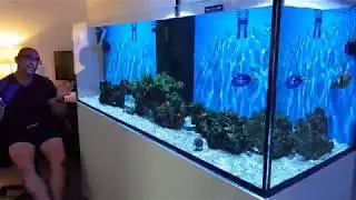 Red Sea REEFER 750 XXL. Всё опять пошло не так! И ещё один баллон в доме!
