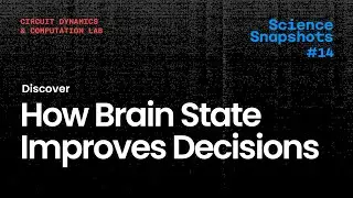 Science Snapshot: How Brain State Improves Decisions