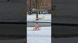 School run in the Netherlands this week is so unhinged😅 #netherlands  #snowinthenetherlands