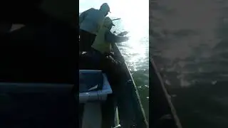 Pemancing di sandakan sabah