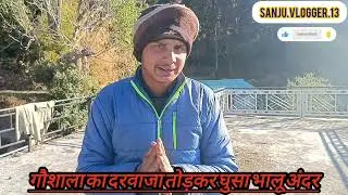 पूरे गांव में जंगली भालू का आतंक || पूरे गांव में डर का माहौल  @sanjuranapahadi2154 