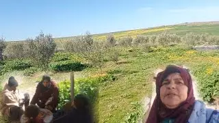 في البادية نهار كبير جات بنتي عندي ما قداتني فرحه بها هي ووليداتها طيرات علي الدهشه انا وباكم السعيد