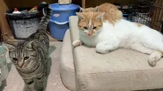 Мы никого не узнаём, когда видим еду.