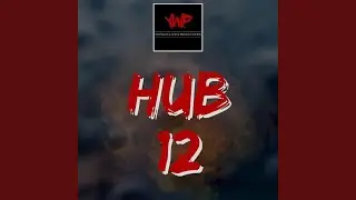 Hub 12