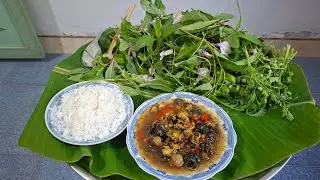TƯ LANG THANG#ĂN HỆT M&Acirc;m c&acirc;y CỎ MỰC RAU MUỐNG CHẤM ỐC KHO MẮm 