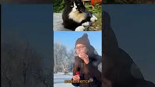 Мыльный пузырь против мороза