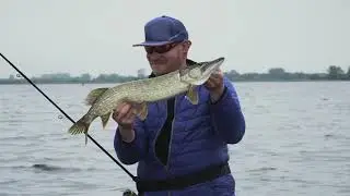 Robert Arlinghaus - Breaking the Wall to Sustainable Fisheries