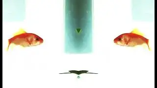 [Psychedelic Pixel Fisch] // duplication_process.raw #Psychedelic #Pixel #fish