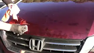 Road Rash Repair on Hood - Quick How-To video on a red metallic Honda Accord