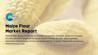 Maize Flour Market Report 2024 | Forecast, Market Size & Growth