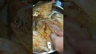 Fish fry 🍤 #koli #seafood #marathi #mumbai #alibag #trending #food #cooking #recipe #viral #fish