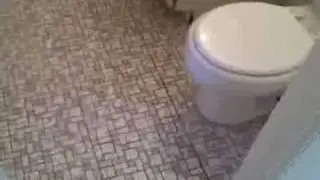 Delightful Boston Property