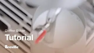 The Barista Touch&trade; Impress | How to perfectly texture any milk, hands-free | Breville USA
