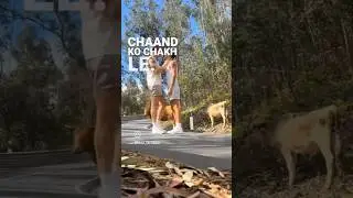 Your daily dose of Gay vibes🥀❤️🌈#GayContent#IndiaLGBTQIA #GayReels#LovelsLove#GayVibes #viralshorts