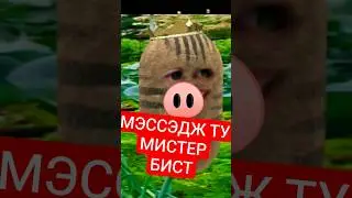 МЭССЭДЖ ТУ МИСТЕР БИСТ #sleduck #sledovatel #xkamysh #камыш #maroosha #vtuber #втубер #нарезки #юмор