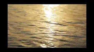 Envia - me - Coral IDEC || Jo&atilde;o Pedro Santos Moreira (COVER) || IURD ||