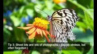 The Beauty Of Nature Photography - Amazing Photo Ideas, Tips, Tricks And Techniques