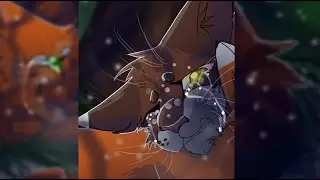 Squirrelflight and Leafpool (Warrior Cats Speedpaint)