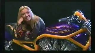 Pub Qu&eacute;bec - Blanchette Harley-Davidson