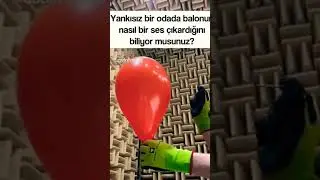 #YANKI#