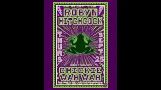Robyn Hitchcock live @Chickiewahwah.2025