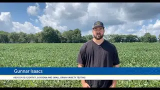Small Grain and Soybean variety testing