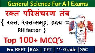 रक्त परिसंचरण तंत्र | blood circulatory system | General science for Reet level 1 and 2 |