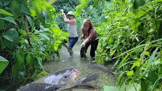 Poor girl and failed engineer caught fish in the wild for food and long-term preservation