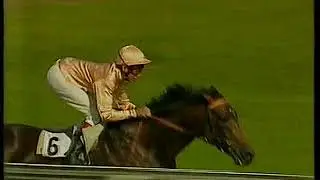1985 September Stakes Shernazar