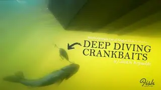 Deep Diving Crankbaits - North Georgia Local Angler How-To Series with Justin Reynolds
