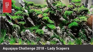 Aquascape Contest - Aquajaya Challenge 2018 (Battle of Monsters)